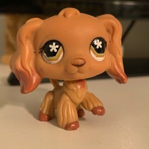Lps Littlest Pet Pet Shop716 Cocker Spaniel Rare